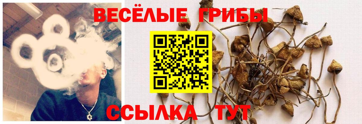 Галлюциногенные грибы Magic Shrooms Орехово-Зуево